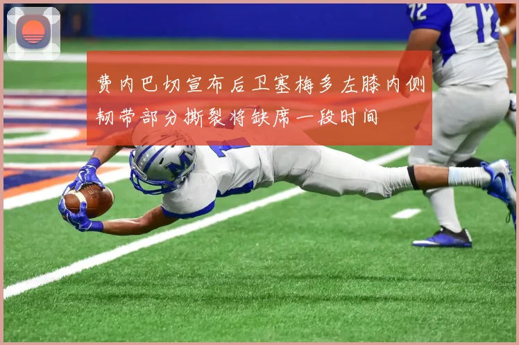 费内巴切宣布后卫塞梅多左膝内侧韧带部分撕裂将缺席一段时间