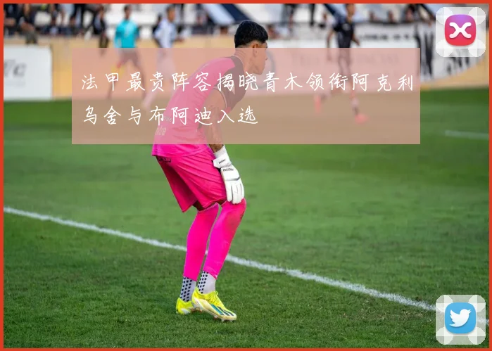 法甲最贵阵容揭晓青木领衔阿克利乌舍与布阿迪入选