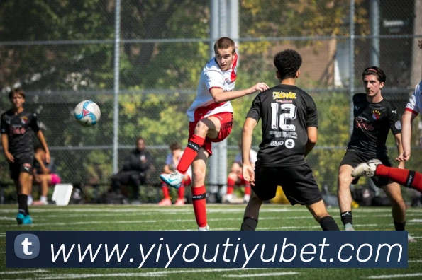 易游体育平台生态图